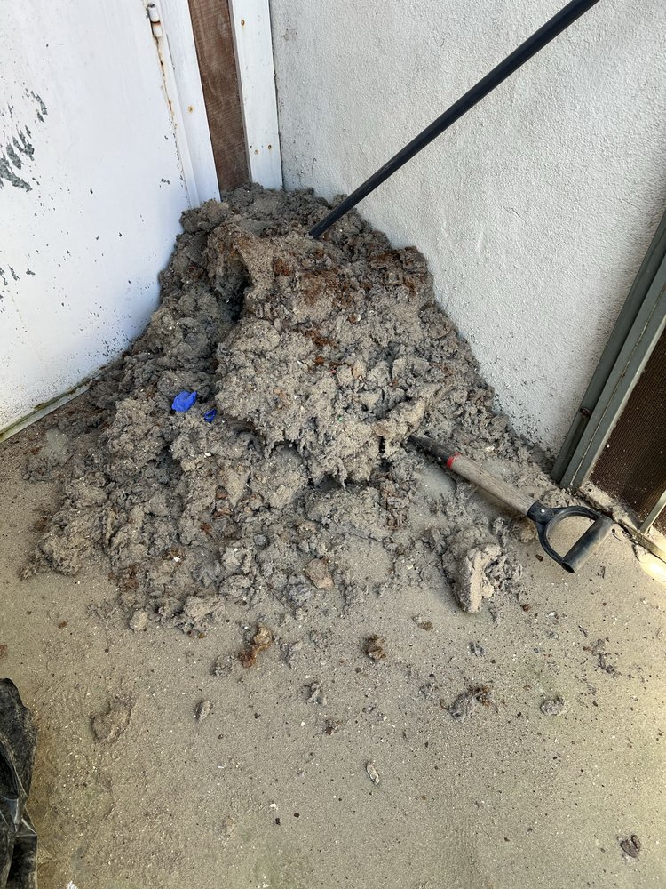 Collected dirt and debris from HVAC and dryer vent cleaning in Alameda County